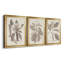 Antique sépia botanicals vii - ensemble de 3 peintures sur toile encadrées-1859238287-1859238286