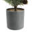 24'' Faux Pine Tree in Pot