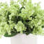 Lilacs Arranged in a Ceramic Pot