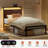 Antioch Twin Bed with LED Light and Charging Station, Metal Platform bed with Storage Headboard, No Box Spring Needed, Brown-109575521-97779679