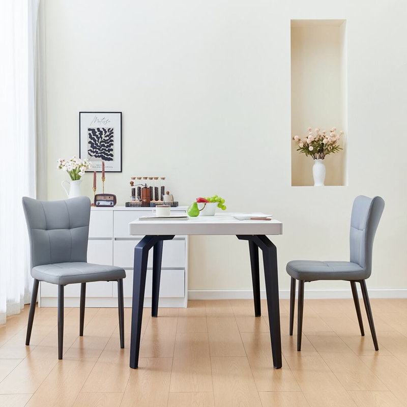 Ensemble de 2 chaises de salle à manger avec cadre en fer et pieds robustes, Gris