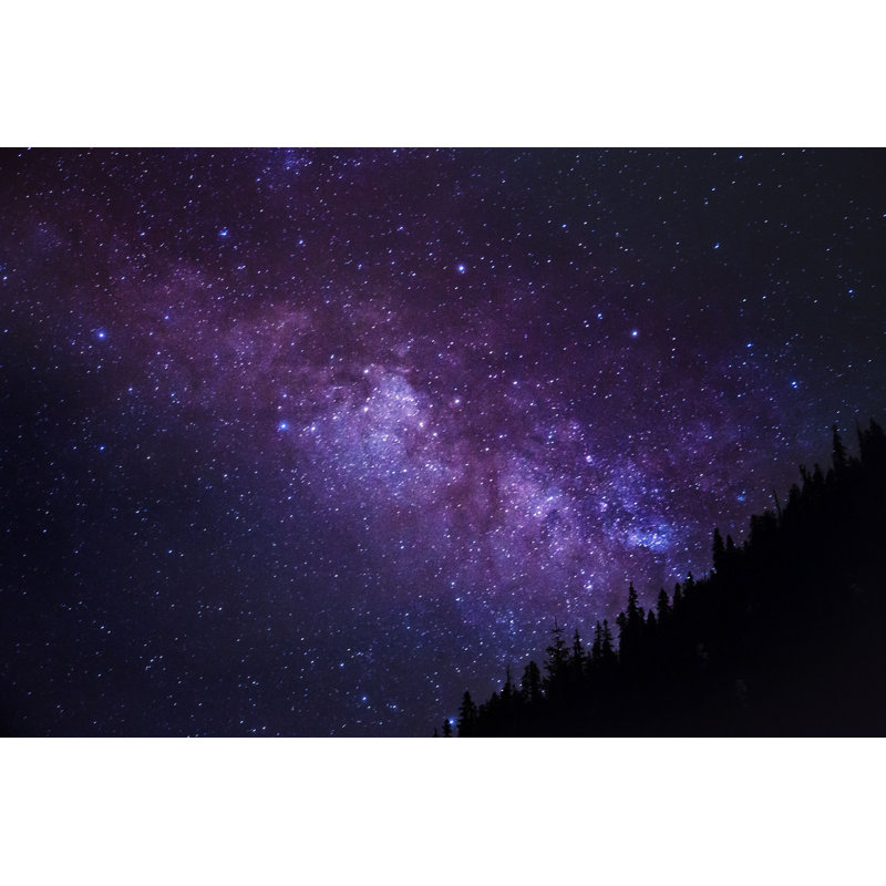 «Lanny The Milkyway» par Bradscott photos - impression, H 8 po x l 12 po