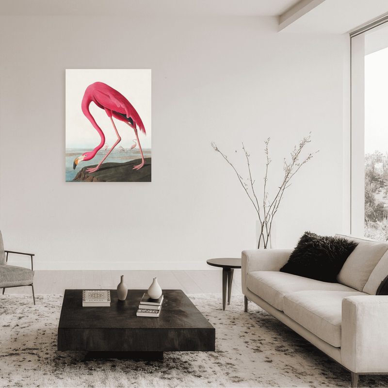 Coastal Retreat Pink Flamingo II From Birds Of America (1827), 24" H x 16" W x 1.5" D, Wrapped Canvas, Does Not Apply