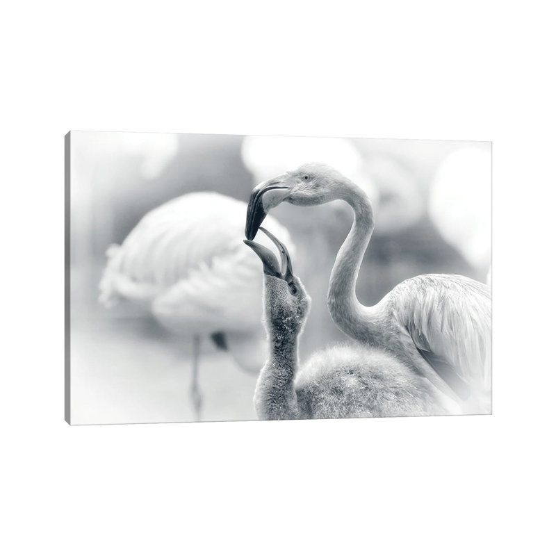 Feeding by Bragi Ingibergsson - Wrapped Canvas Print, 66.04 cm H x 45.72 cm W x 1.91 cm D