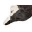 Rug & Kilim’S Extra Large Cowhide Rug In Brown And White Tones