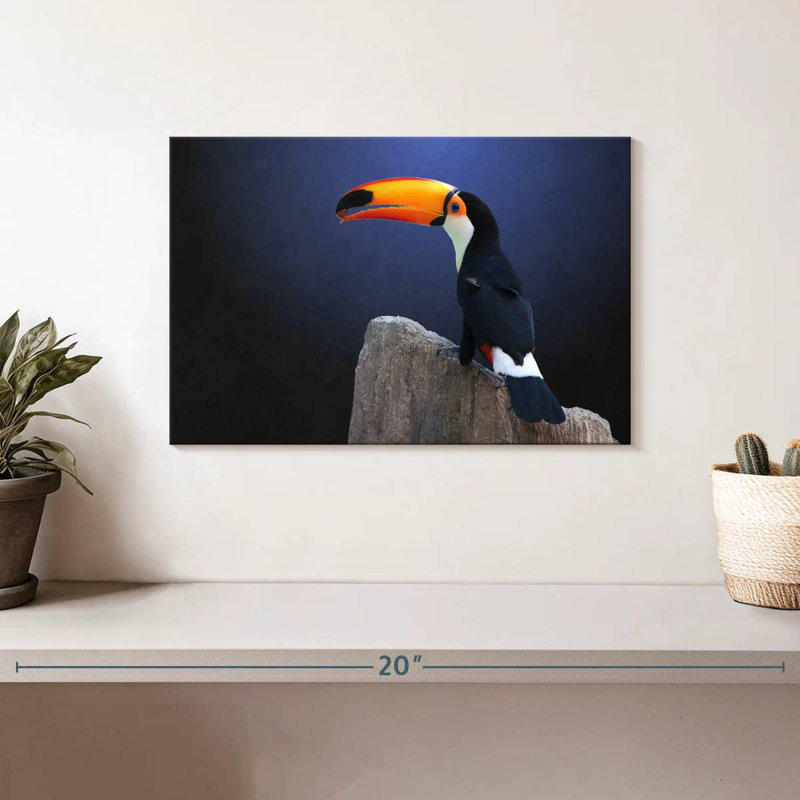 Toucan avec raisin, H 8 po x l 12 po