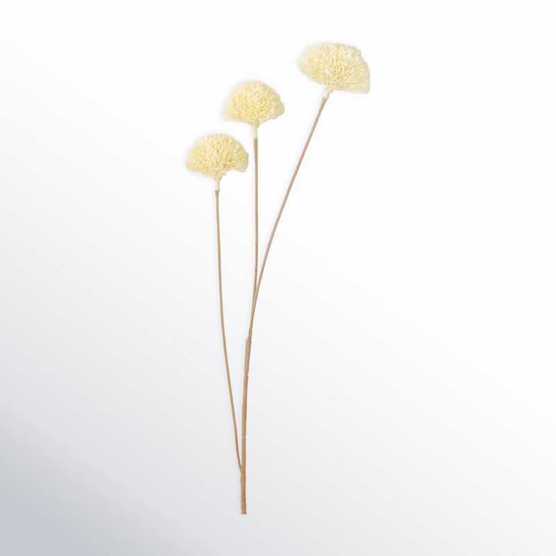 Quinlan Allium Bud Stems, Off-White