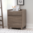 Jaie 22'' Wide 2 -Drawer File Cabinet