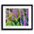 Black Framed Paper selected