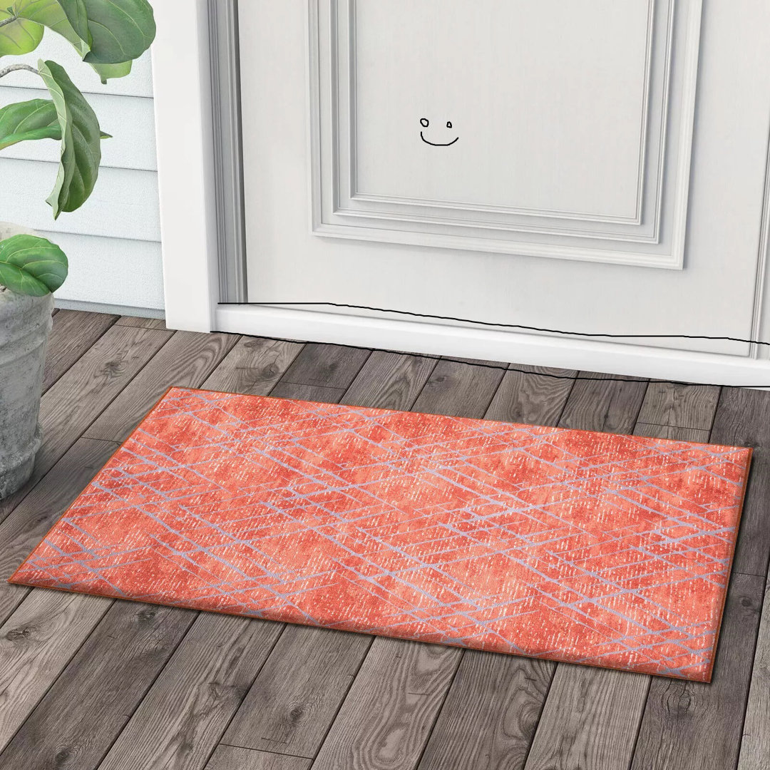 Indoor Small Large Washable Rugs Kitchen Floor Door Mat