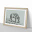 A Drinking Horse by Jean Bernard - Single Picture Frame Print-55457499-55457490