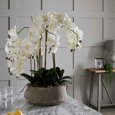 Annitta 90cm Plant in Pot