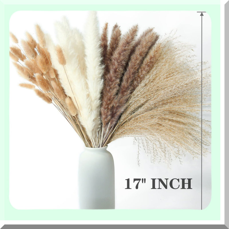 Natural Dried Pampas Grass Decor for Boho Home and Wedding