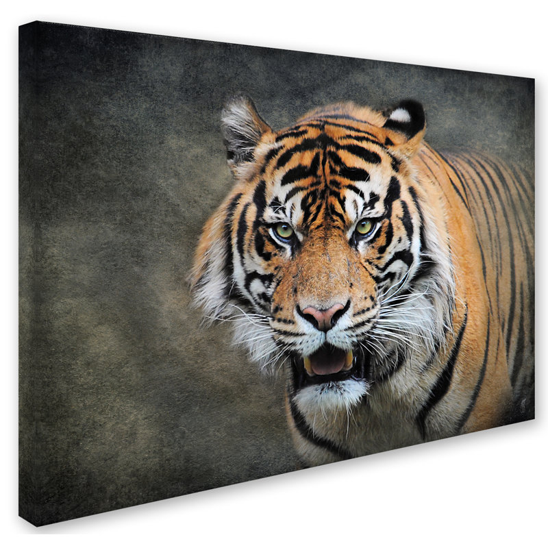 Vidur «Bengal Tiger», reproduction d'impression sur toile tendue, H 18 po x l 24 po