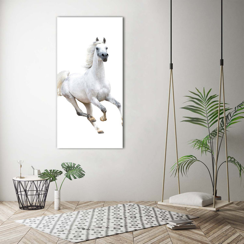 White Horse In Gallop - Wrapped Canvas Print, 140cm H x 70cm W
