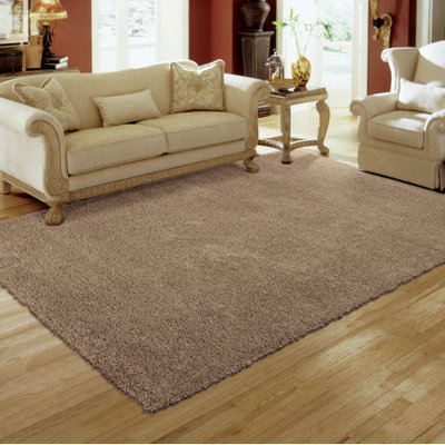 Patinkin Solid Colour Shag Area Rug