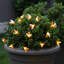 String Lights