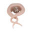 Décoration Swirl Design-97382826