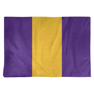 Récapitulatif 18" à rayures de football Minnesota