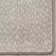 Imagine Nature's Expression Dapple Ecru Area Rug