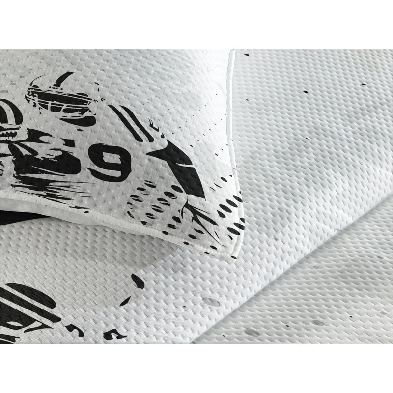 Modern & Contemporary Polyester Coverlet