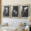 Orchidée sur ardoise I - reproduction sur mesure encadrée de qualité supérieure - 3 pièces-1128821323-1128821327