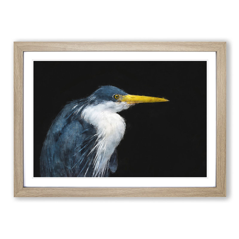Pied Heron - Picture Frame Graphic Art Print, Oak, 33cm H x 45cm W x 2cm D