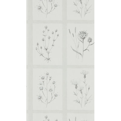 Thistles 10.05m x 52cm Matte Wallpaper Roll