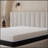 Infused 12 Inch Soft Memory Foam Mattress-666878837