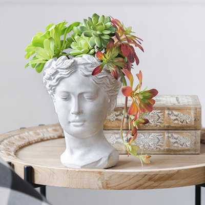 6x 9 Inch Indoor Outdoor Greek Style Head Planter, Home Wall Planter