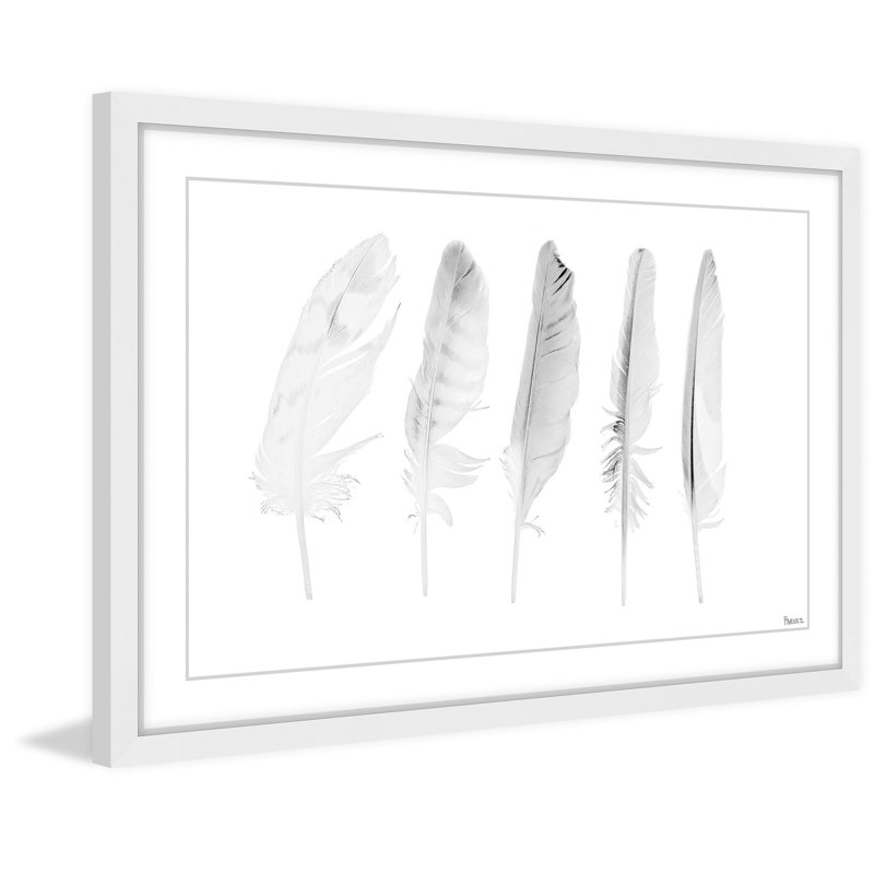« cinq plumes blanches ii », impression encadrée, 30 po x 45 po