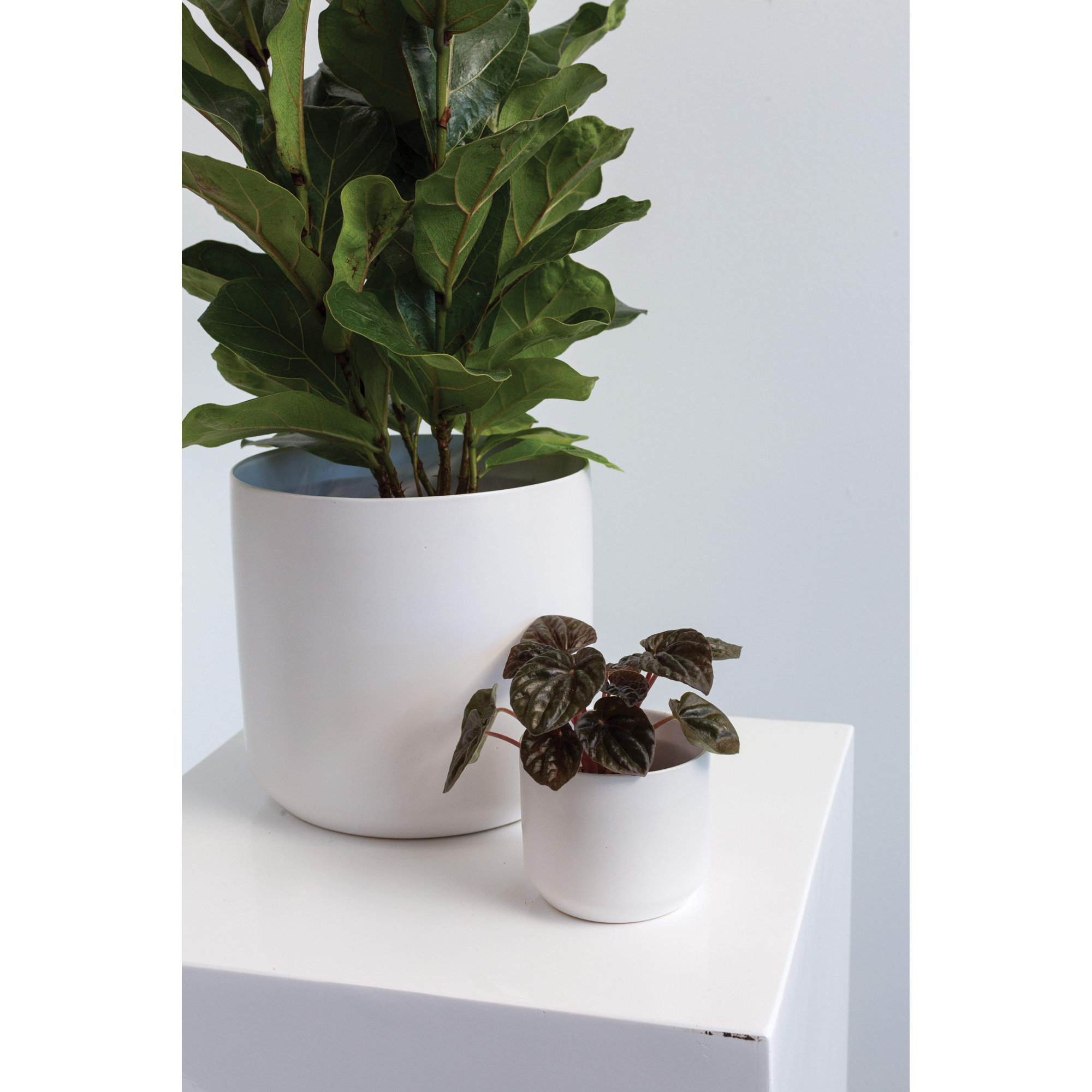 Parsons Handmade Ceramic Pot Planter, 2" H x 2.5" W x 2.5" D, White