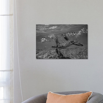 Green Sea Turtle Swimming with a School of  Butterfly Fish, Apo Island, Philippines 1 Piece Wrapped Canvas Wall Art