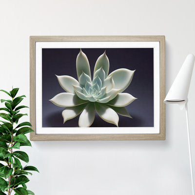 Exquisite Succulent Plant 1 Piece Single Picture Frame Wall Art