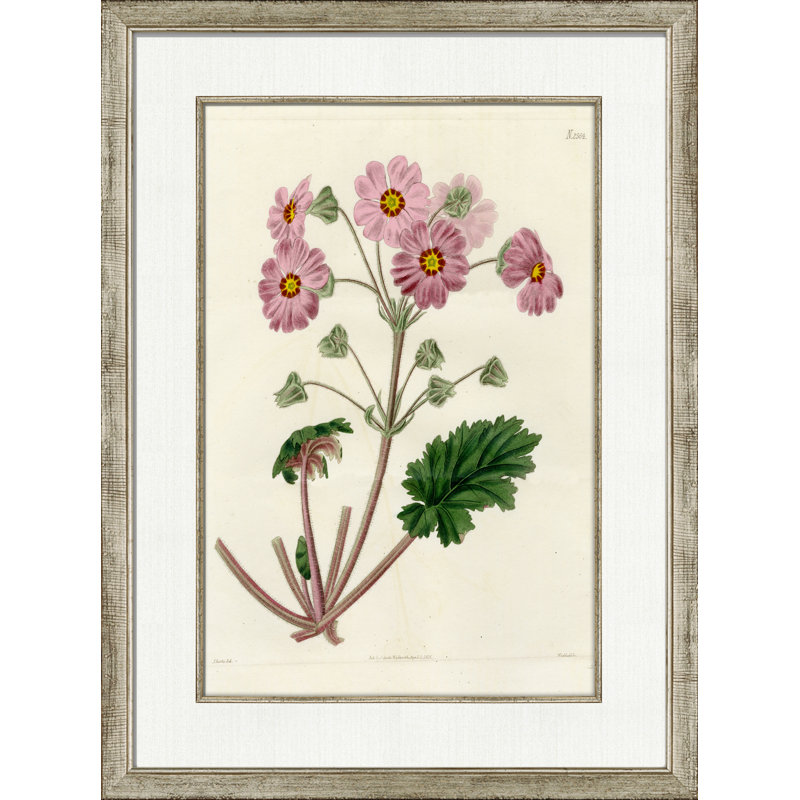 Medium Antique Blush Floral I Painting