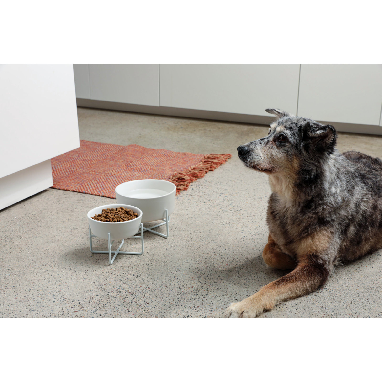 Simple Solid Bowl & Dog Bowl Stand, White, Medium (4 cups / 32 fl. oz.)