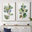 «Seeded Eucalyptus I», ensemble de 2 reproductions d'art sur toile-1047157792-1047157797