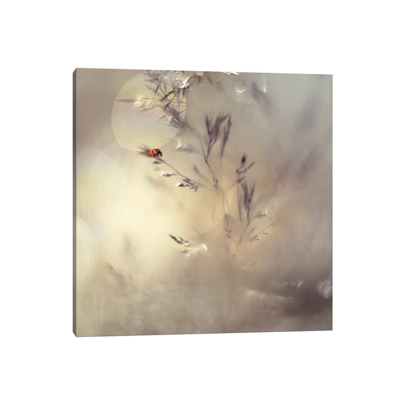 Little Lady 1 Piece Wrapped Canvas Wall Art, 30.48cm H x 30.48cm W x 1.91cm D