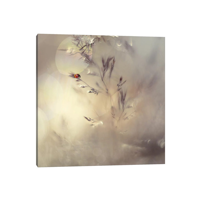 Little Lady by Heidi Westum - Wrapped Canvas Print, 45.72cm H x 45.72cm W x 1.91cm D