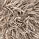 Cyrah Wool Area Rug in Beige