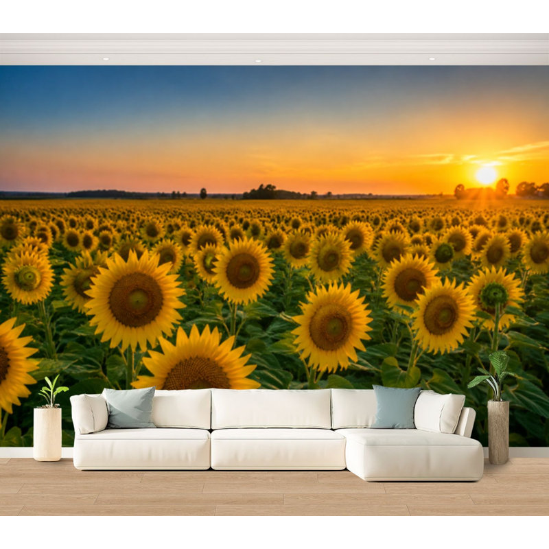 Papier peint adhésif autocollant amovible Sunset Sunset, 100" L x 144" W