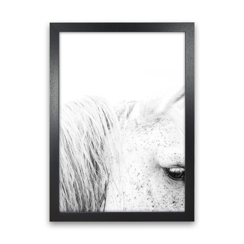 White Horse II by Victoria Frost - Print, 88cm H x 64cm W x 3cm D, Black Framed