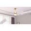 Babrak 65'' Ceiling Fan with LED Lights-87393122