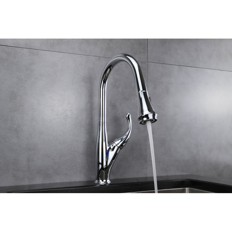 Garbatella Chrome Brass Single-Handle Pull-Down Spray Kitchen Faucet