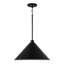 Luminaire suspendu conique à 1 lumière Alden-94392824-94399837