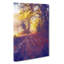 Forest Path in France in Abstract - Wrapped Canvas-55314421