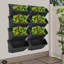 Ensemble de 24 pots de fleurs muraux-1138889781