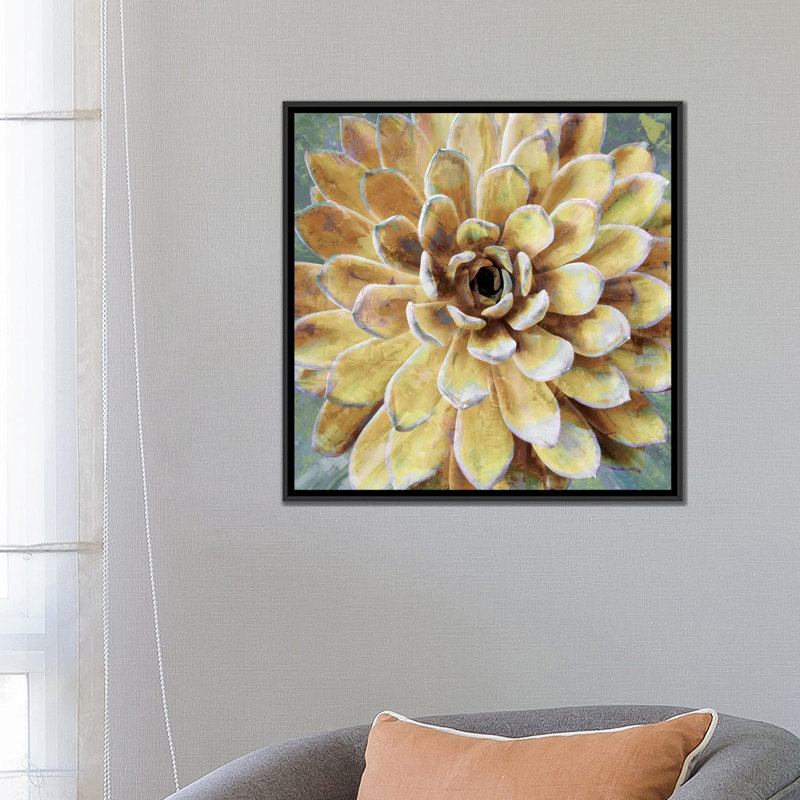 «Succulent II», impression sur toile, H 18 po x l 18 po x P 1,5 po, Toile encadrée noire, Pas de tapis