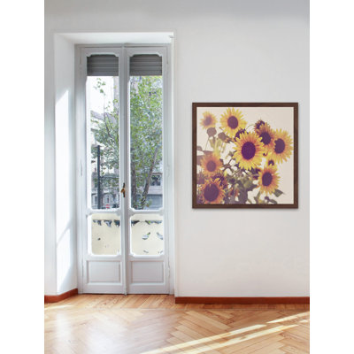 « tournesol », reproduction de photo encadrée