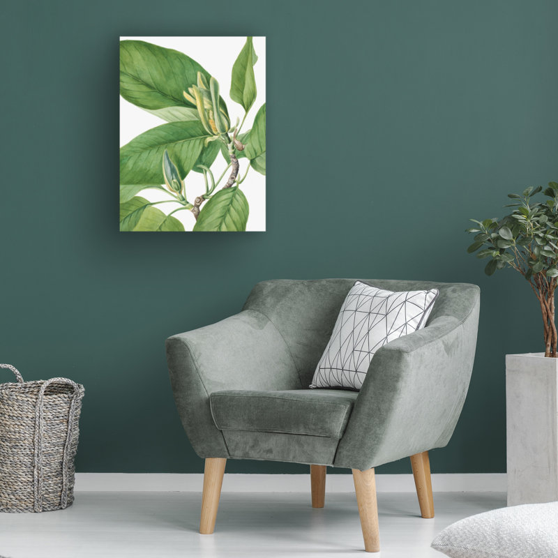 Art sur toile «Bachelor Mary Vaux Walcott», 1922, H 19 po x l 14 po